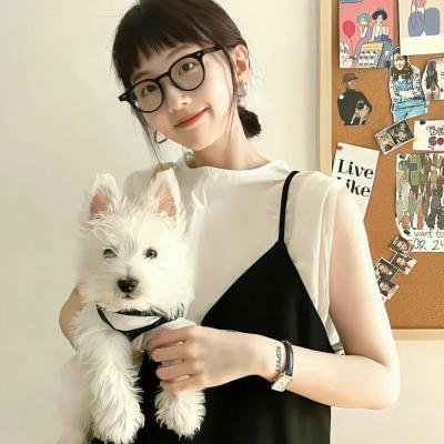 暗金烂狗8